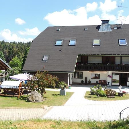 Haus Ingeborg Apartment Dachsberg im Schwarzwald Exterior foto