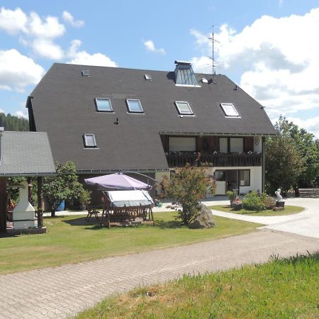 Haus Ingeborg Apartment Dachsberg im Schwarzwald Exterior foto