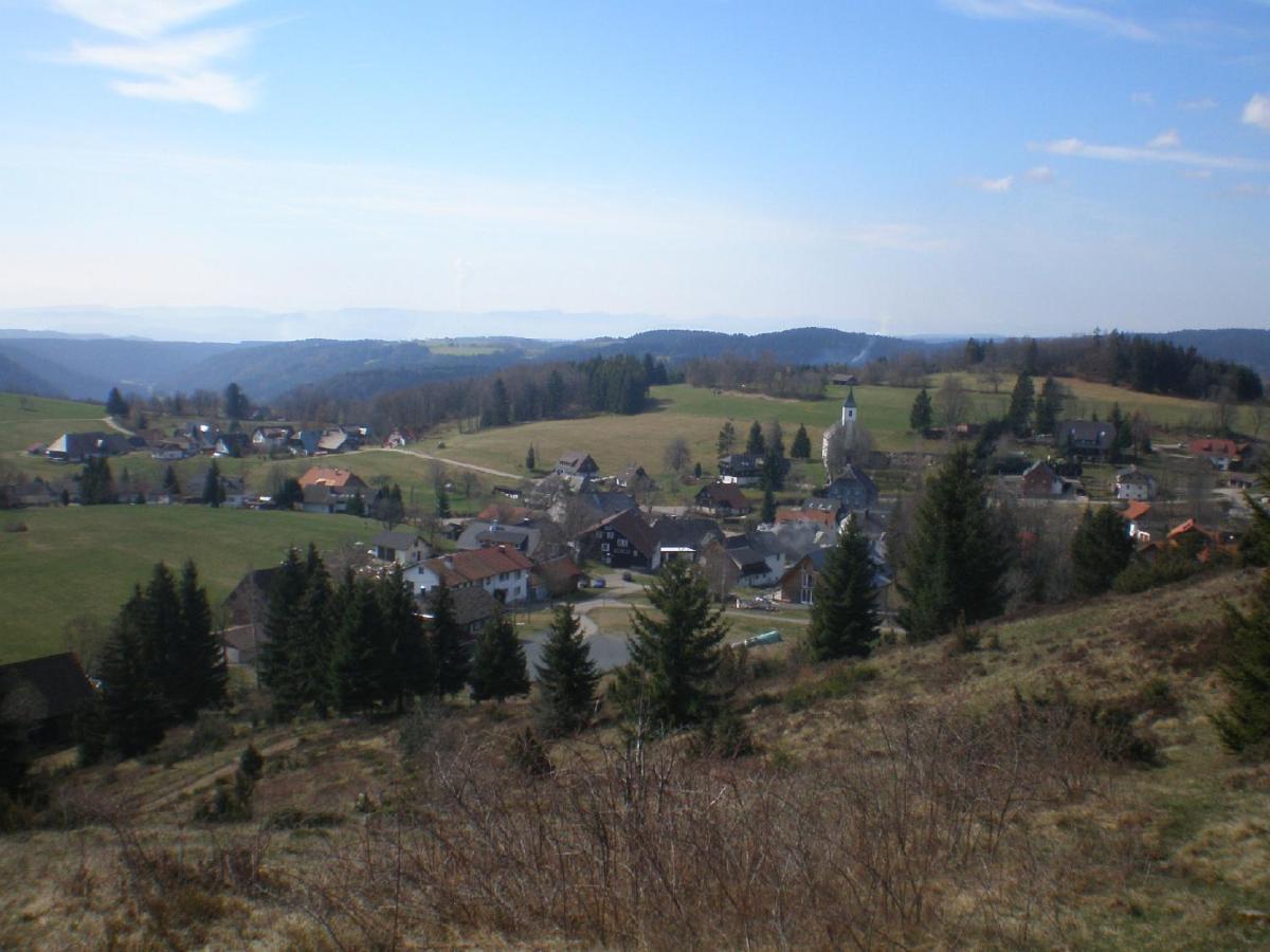 Haus Ingeborg Apartment Dachsberg im Schwarzwald Exterior foto