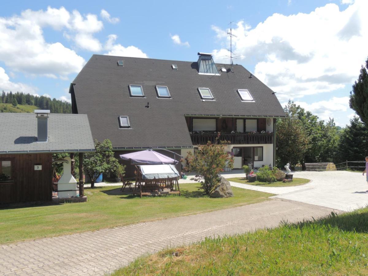 Haus Ingeborg Apartment Dachsberg im Schwarzwald Exterior foto