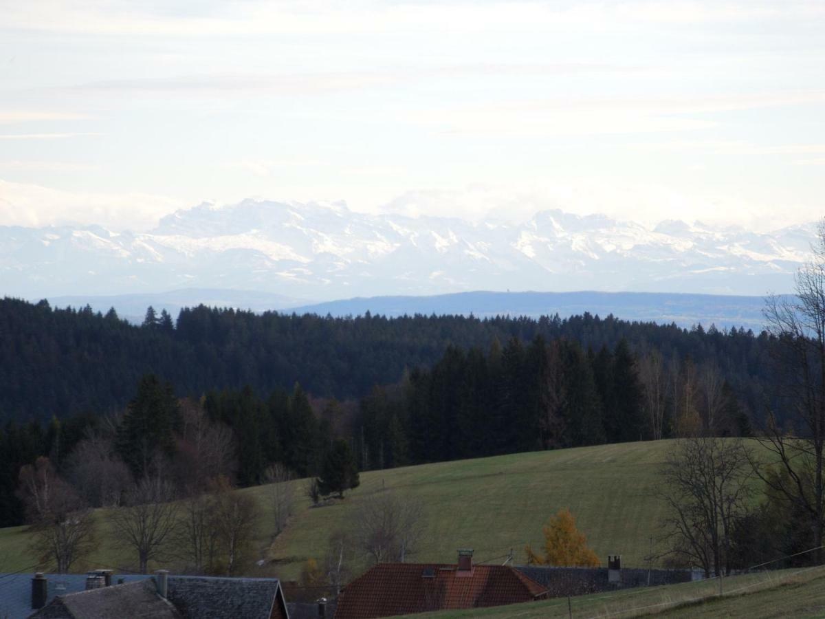 Haus Ingeborg Apartment Dachsberg im Schwarzwald Exterior foto